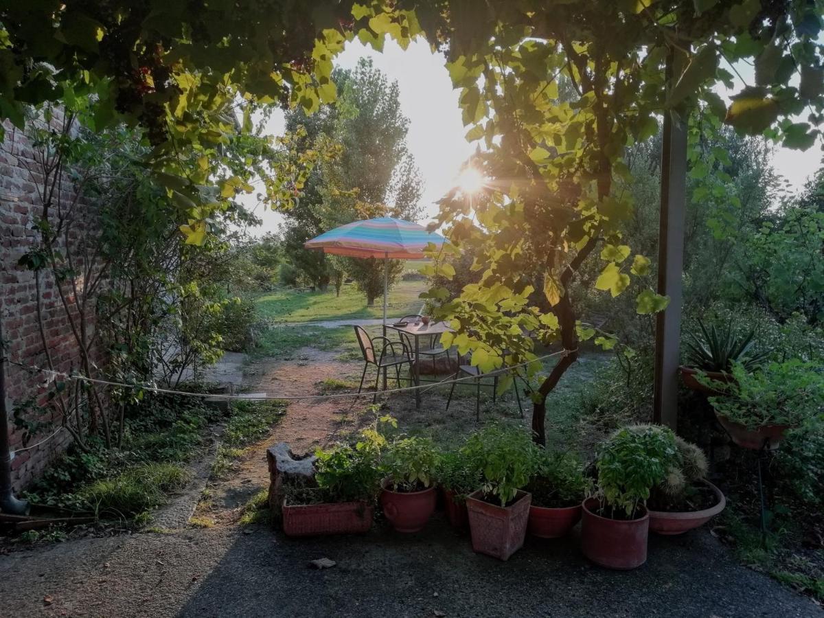 Casa Del Geco Bed & Breakfast Paestum Ngoại thất bức ảnh