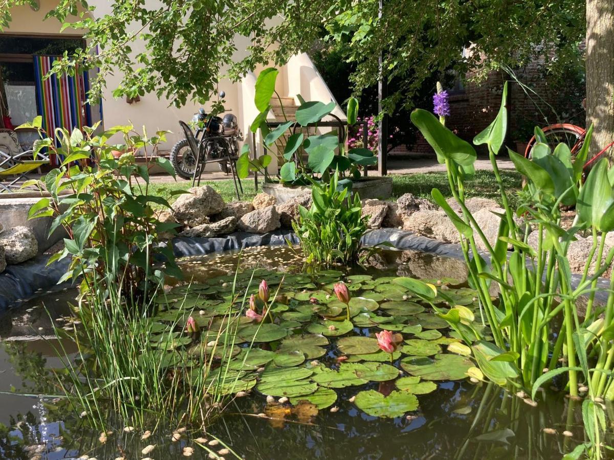 Casa Del Geco Bed & Breakfast Paestum Ngoại thất bức ảnh