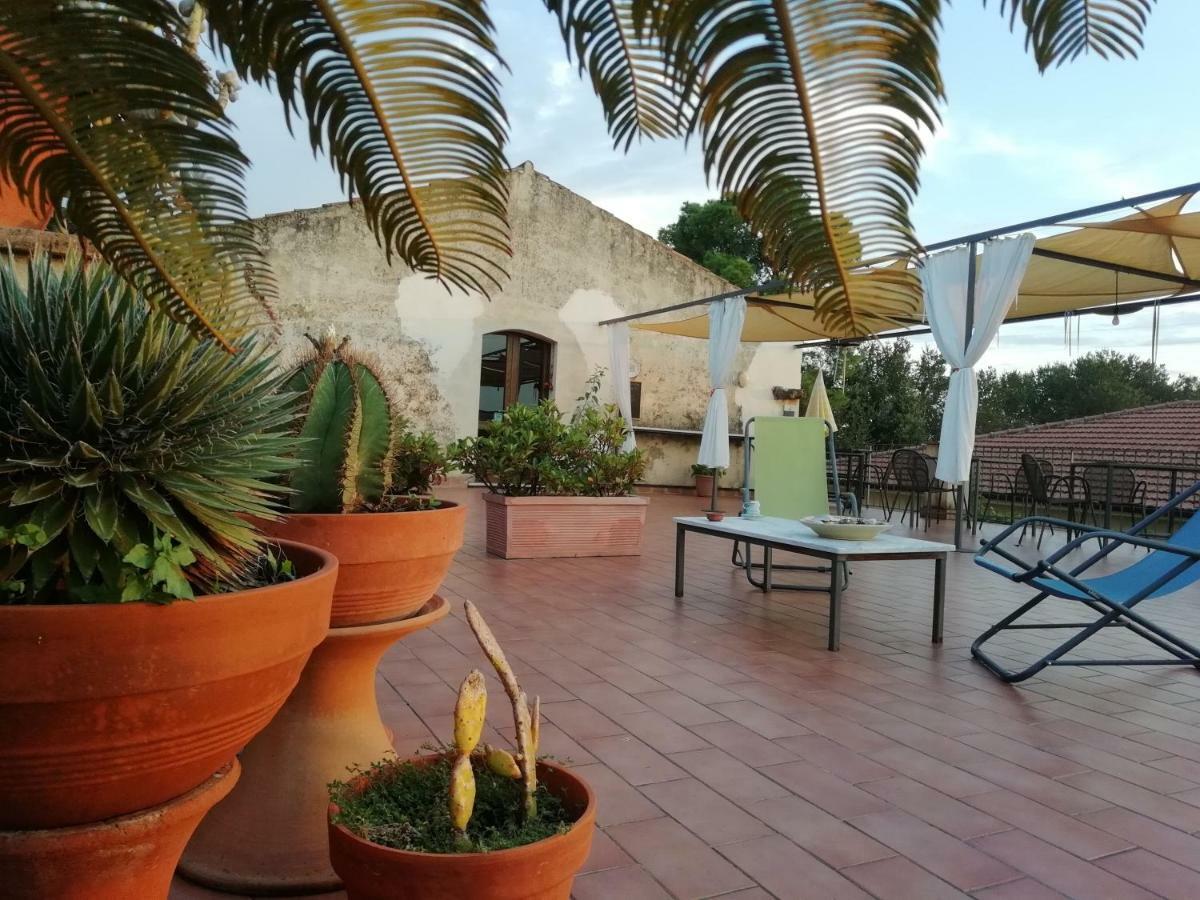 Casa Del Geco Bed & Breakfast Paestum Ngoại thất bức ảnh